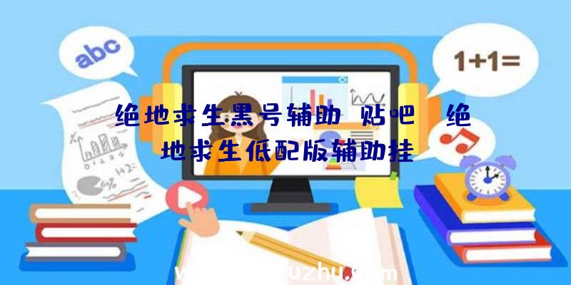 「绝地求生黑号辅助